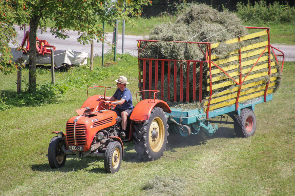 Oldtimer-Traktor mit vollem Ladewagen